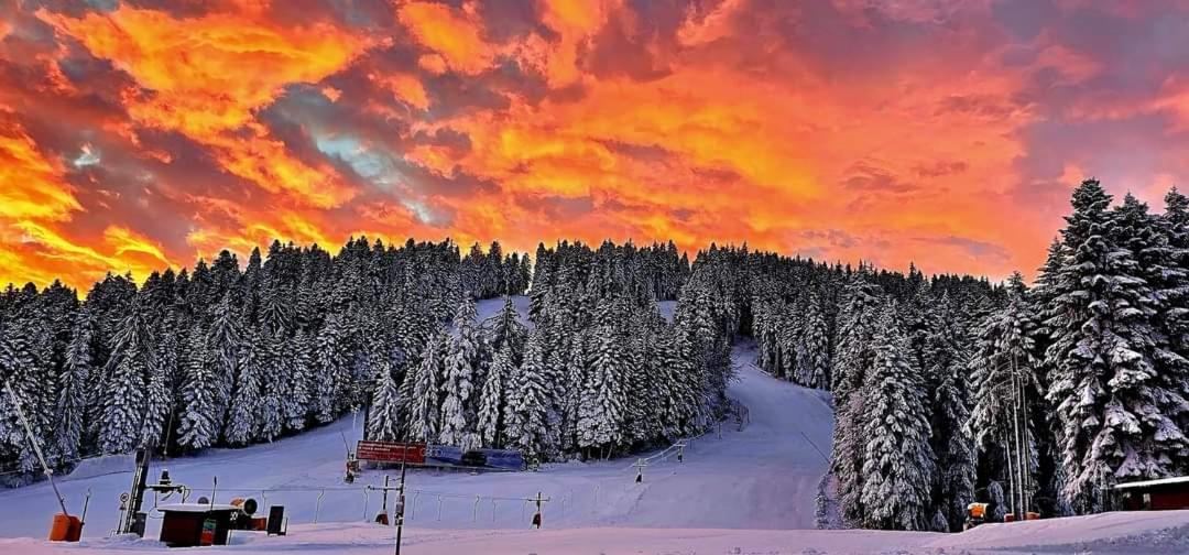 Fox Boutique Apartment Borovets Gardens Bagian luar foto
