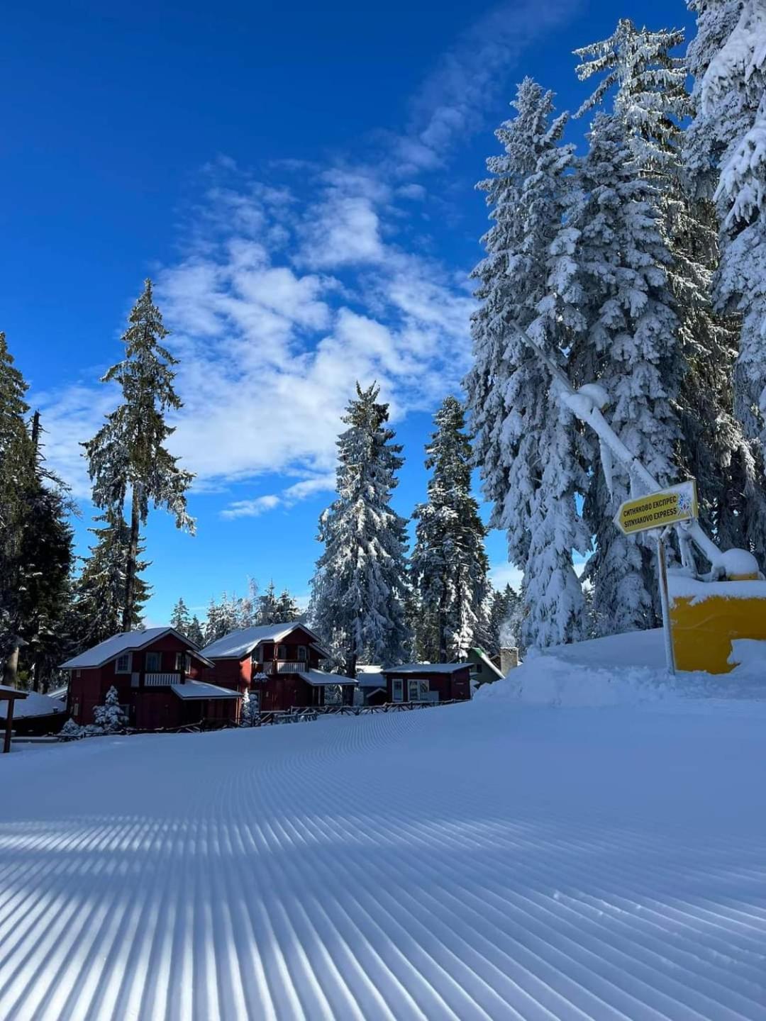 Fox Boutique Apartment Borovets Gardens Bagian luar foto